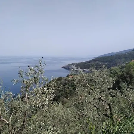 ξυλοπετρα / Wood & Stone House Apartamento Tsagarada