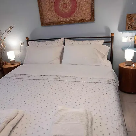 Apartment ξυλοπετρα / Wood & Stone House Tsagkarada