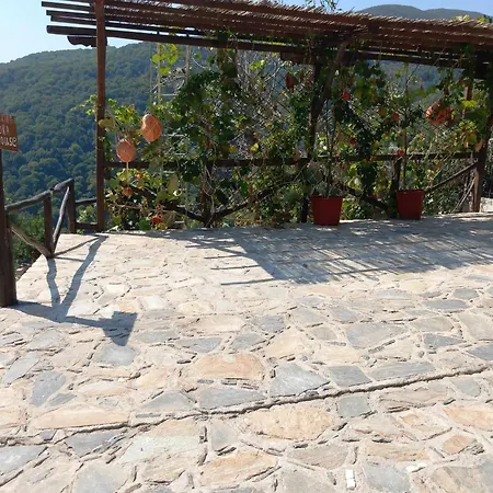 ξυλοπετρα / Wood & Stone House דירה *