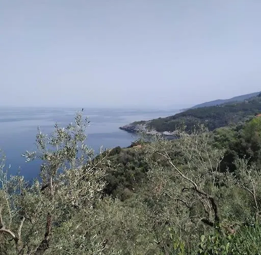 ξυλοπετρα / Wood & Stone House Lejlighed Tsagkarada