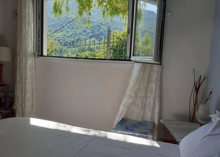 ξυλοπετρα / Wood & Stone House